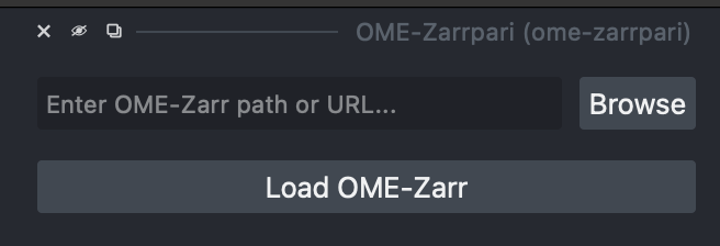 Screenshot of the ome-zarrpari napari widget